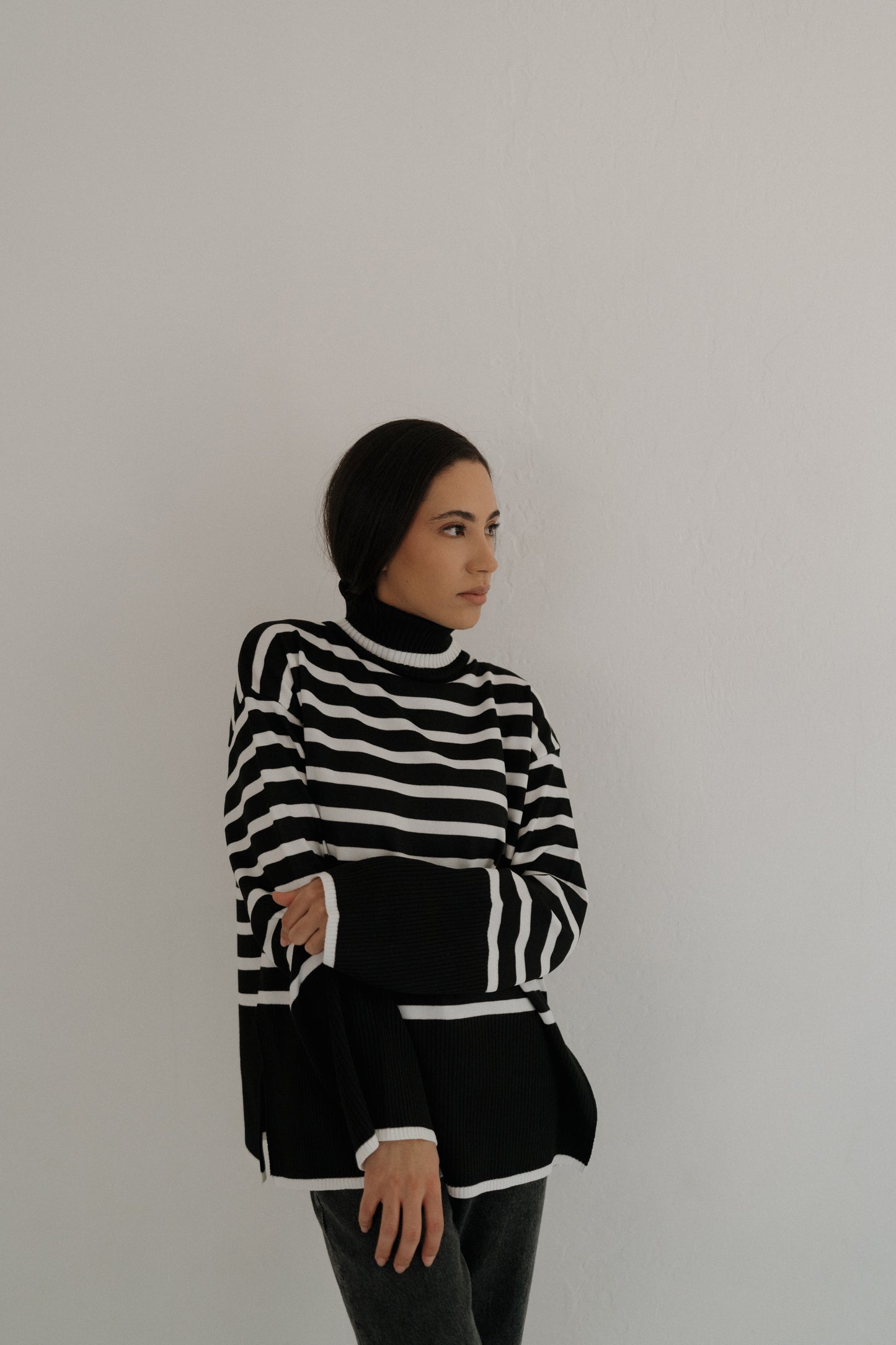 TURTLENECK STRIPED SWEATER